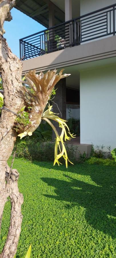 Indraprastha Cottage Ubud Luaran gambar